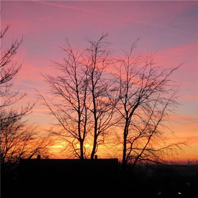 澳门·威斯尼斯wns888入口截图